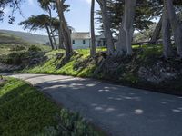 California's Coastal Road: A Picturesque View