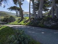 California's Coastal Road: A Picturesque View