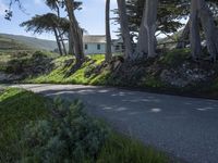 California's Coastal Road: A Picturesque View