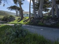 California's Coastal Road: A Picturesque View