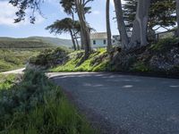 California's Coastal Road: A Picturesque View