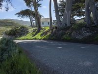 California's Coastal Road: A Picturesque View