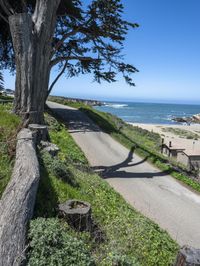 California Coastal Road: Exploring the Rocky Shore