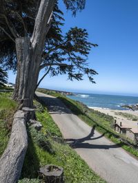 California Coastal Road: Exploring the Rocky Shore