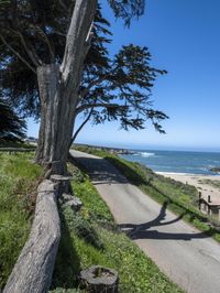 California Coastal Road: Exploring the Rocky Shore