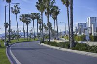 California's Coastal Road: Where the Road Meets the Sandy Shore