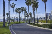 California's Coastal Road: Where the Road Meets the Sandy Shore