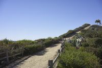 California Coastal Road in Santa Barbara