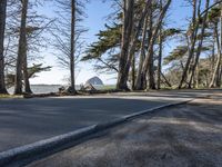 California Coastal Road in Spring