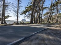 California Coastal Road in Spring