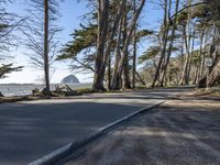 California Coastal Road in Spring