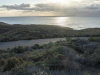 a road goes alongside some bushes by the ocean at sunrise time with sun shining down