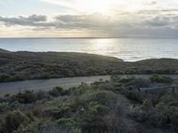 a road goes alongside some bushes by the ocean at sunrise time with sun shining down