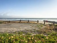 a bench and some water bushes on the shore shore line at sunrise or sunrise with a fence between the sea