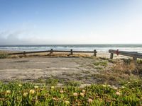 a bench and some water bushes on the shore shore line at sunrise or sunrise with a fence between the sea