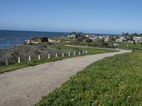 view of the ocean from a road on a clear day near some grass and shrubs