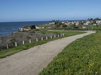 view of the ocean from a road on a clear day near some grass and shrubs