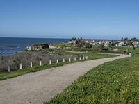 view of the ocean from a road on a clear day near some grass and shrubs