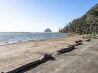 logs lie on the sandy beach near the ocean and water's edge, with large mountains in the distance