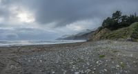 a sandy beach with rocks and trees on it, under a cloudy sky at sunset