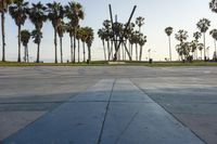 a skateboarder riding a board on the concrete in front of palm trees and buildings