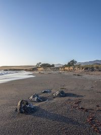 a grassy field by the shore and a cliff with rocks in the ocean in the background