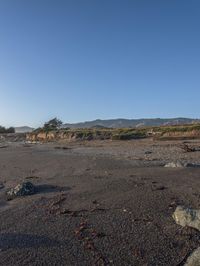 a grassy field by the shore and a cliff with rocks in the ocean in the background