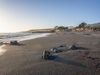 a grassy field by the shore and a cliff with rocks in the ocean in the background