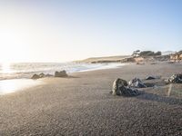 a grassy field by the shore and a cliff with rocks in the ocean in the background