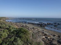 a grassy grassy area with rocks and water at the shore of a beach and sandbank