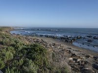 a grassy grassy area with rocks and water at the shore of a beach and sandbank