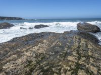 California Coastal Waters: A View of the Ocean and Beach