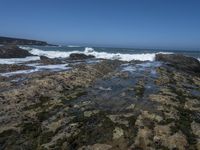 California Coastal Waters: A View of the Ocean and Beach