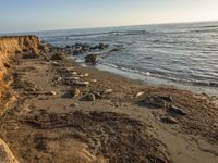 a grassy field by the shore and a cliff with rocks in the ocean in the background