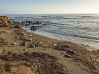 a grassy field by the shore and a cliff with rocks in the ocean in the background