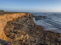 a grassy field by the shore and a cliff with rocks in the ocean in the background