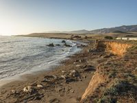 a grassy field by the shore and a cliff with rocks in the ocean in the background