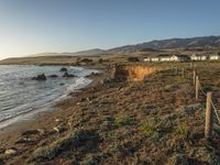 a grassy field by the shore and a cliff with rocks in the ocean in the background