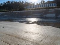 a skateboarder on the street with the sun reflecting in it's waters