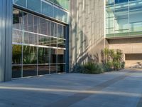 a building has several different glass windows in it and there are plants on the ground next to the building