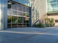 a building has several different glass windows in it and there are plants on the ground next to the building