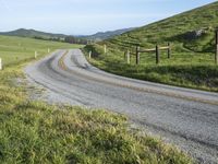 a country road winds up in front of some hills with cattle on the side and green grass on top