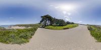 the wide angle fish eye lens is the focal point for this picture of a curved road