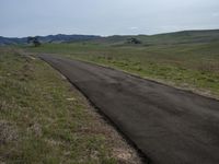 California Dawn on Asphalt Road Landscape 002