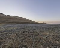 a lone tree stands in an empty landscape of barren land with grassy hills and low vegetation