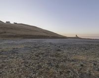 a lone tree stands in an empty landscape of barren land with grassy hills and low vegetation