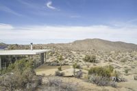 California Dawn: Desert Road Architecture