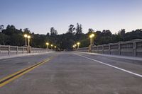 the empty paved bridge has illuminated street lamps lit up at night and people walking over it