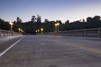 the empty paved bridge has illuminated street lamps lit up at night and people walking over it