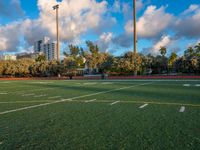 several soccer field in the background with trees and buildings in the distance behind them, the sky has some white clouds